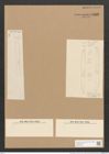 Nitzschia scaligera Grun. (de-Toni-Nr.: Genus 47, Species 2073) Zeichnungen Sammlung Grunow Nr. 4093 (NHMW-BOT-W0371944)